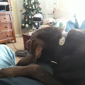 Meet your Posher, William